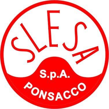 Logo Slesa